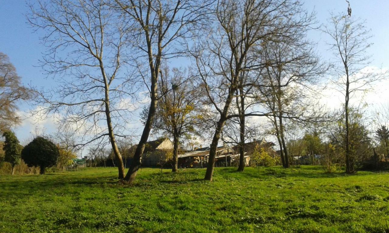 Bochmann Cottage Zalaszanto Экстерьер фото